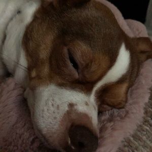 Meet your Posher, Cameron